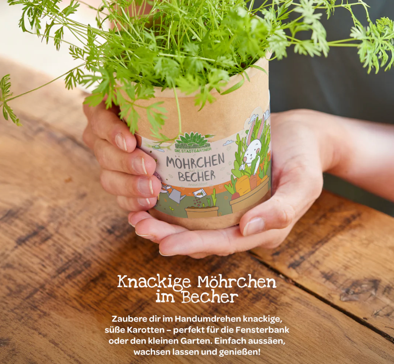 Möhrchen aus dem Becher