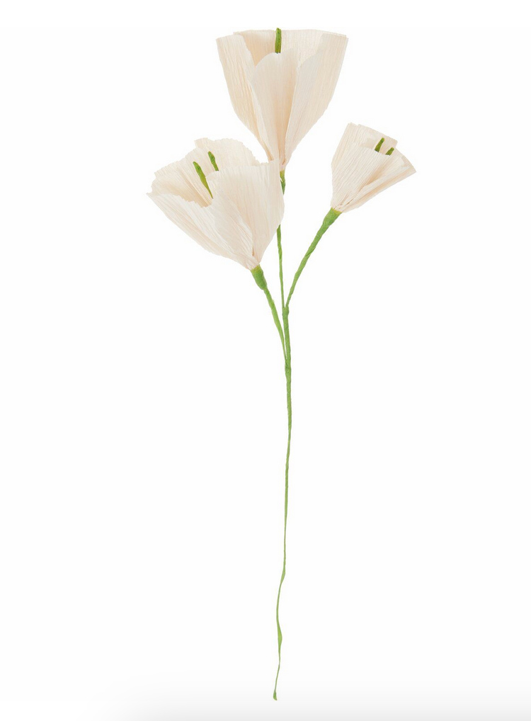 Papierblume Prunkwinde Powder 45,5x6,5x15,5cm