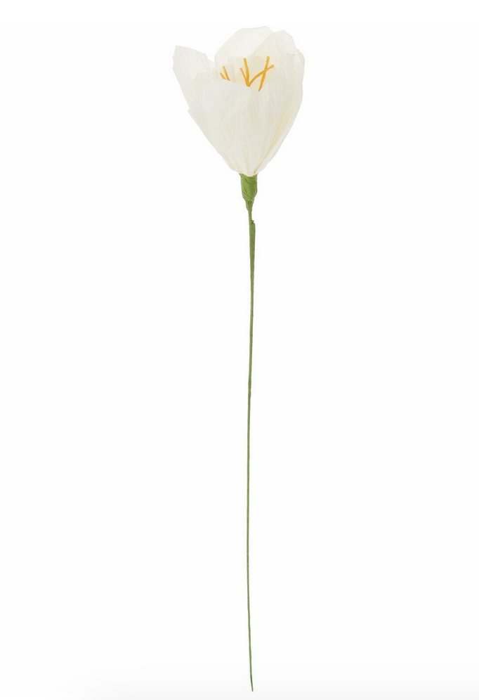 Papierblume Narzisse Off-White 45x15cm Rico Design
