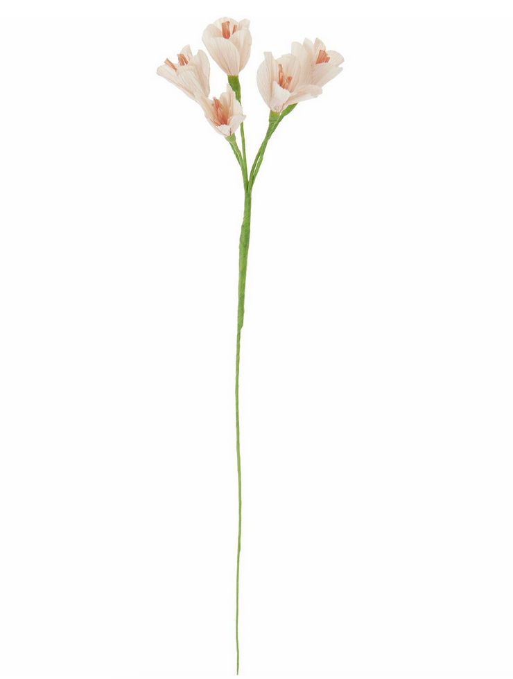 Papierblume Freesie Powder 40x7,5x7,5cm Rico Design