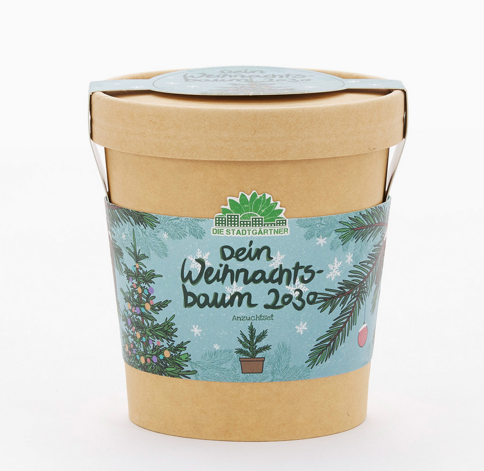 Weihnachtsbaum aus dem Becher