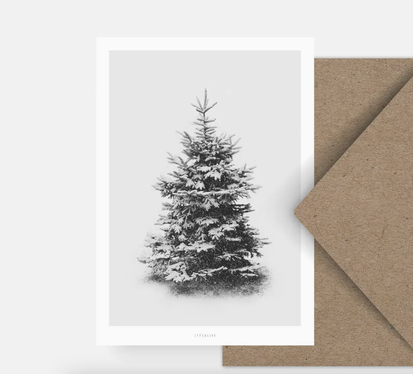 typalive Postkarte / Schneetanne
