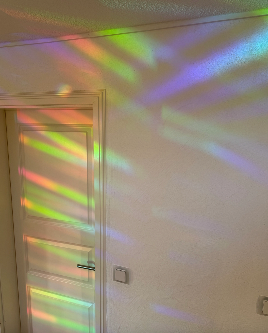 Sonnenfänger Fenster Narzisse, Regenbogen Aufkleber Plottkowski