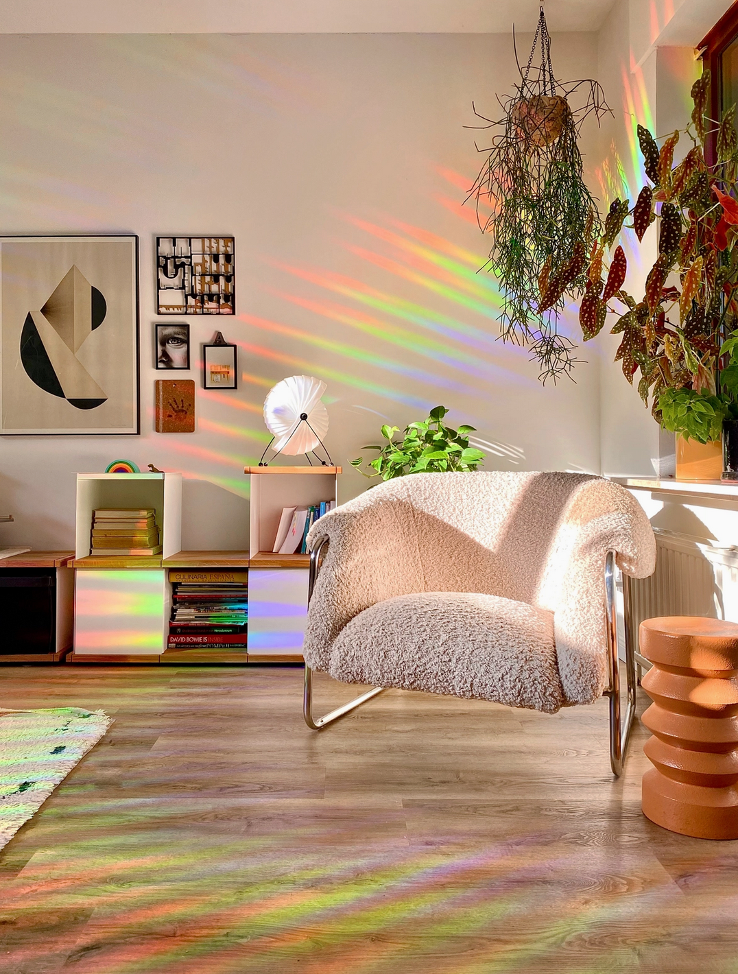 Sonnenfänger Fenster Narzisse, Regenbogen Aufkleber Plottkowski