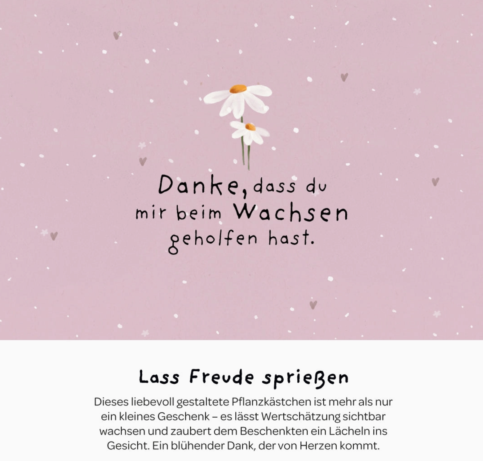 Pflanzkästchen - Danke wachsen Die Stadtgärtner