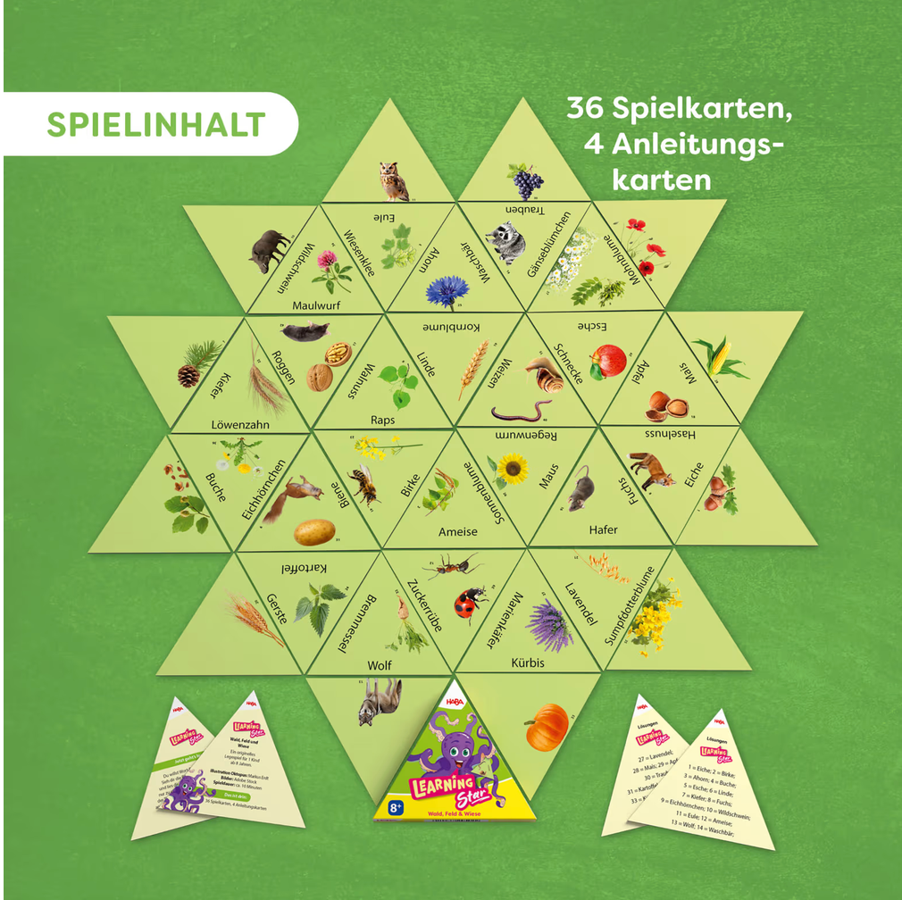 HABA Learning Star Natur