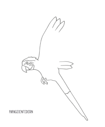 BLÜTENBILDER für Kinder ab 3 Jahren - Sammeln, kleben, ausmalen