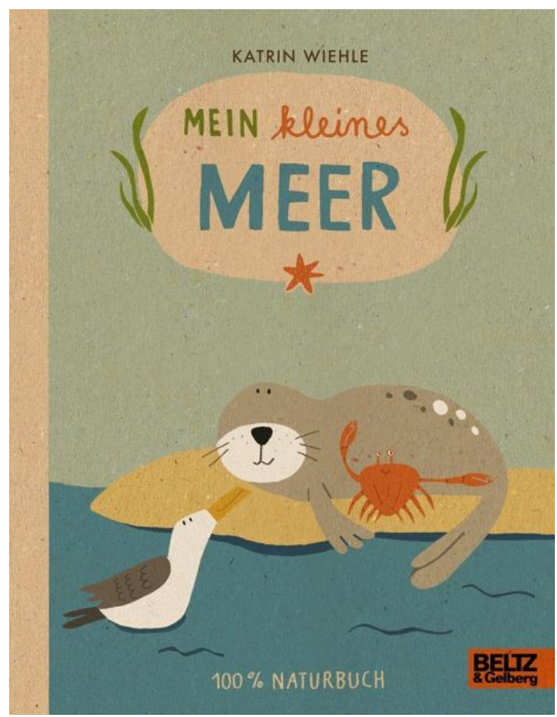 Mein kleines Meer  100 % Naturbuch - Vierfarbiges Papp-Bilderbuch