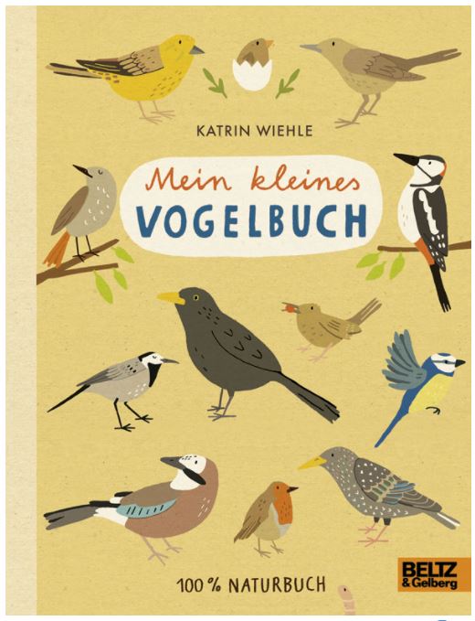 Mein kleines Vogelbuch 100 % Naturbuch - Vierfarbiges Papp-Bilderbuch